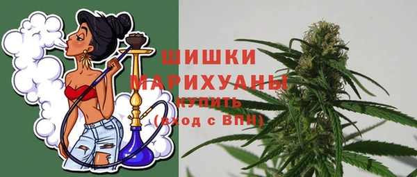 стафф Богородск