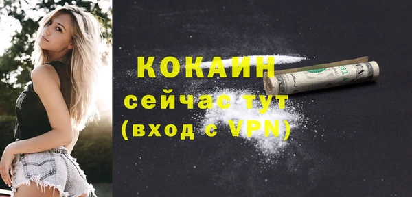 2c-b Богородицк
